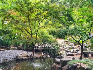 best botanical gardens in Los Angeles | one museum square - botanical garden 