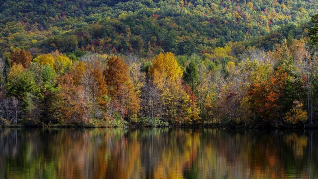 Where to See the Fall Colors in Los Angeles